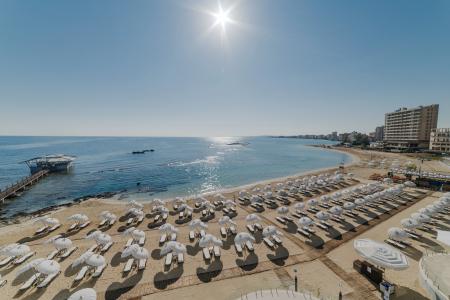 Arkin Palm Beach - 13