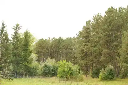 Ecolife Lodge - 11