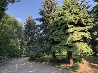 Армения - 31