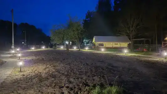 Магия леса в Беловежской пуще - 150