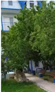Вирджиния - 4