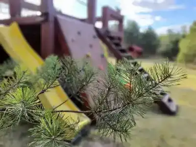 Лесной Эдем - 1