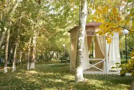 Wellmore Resort Charvak - 25