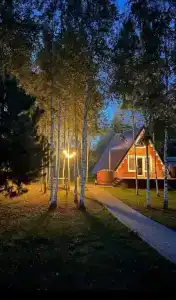 Три лисы - 2
