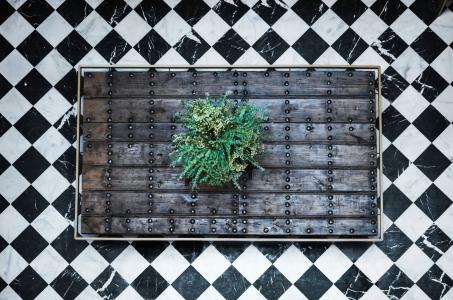 Aguilas5 SevillaSuites - 23