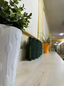Софитель - 14