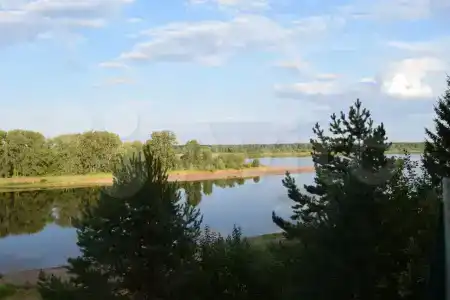 Гольяны - 2