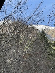 Chalet Monte - 75