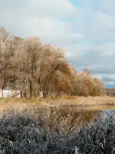Берег желаний - 49
