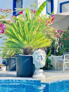 Artunc Bodrum - 24