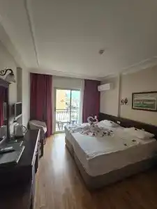 Stella - 24