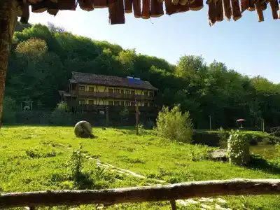 Ecokayan Dilijan Resort - 3