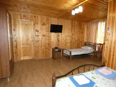 Нора - 4
