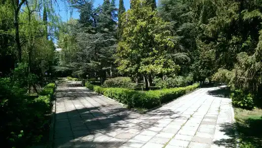 Алуштинский - 6