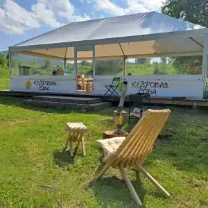 Кедровая сова - 7