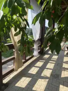 Vip House - 29