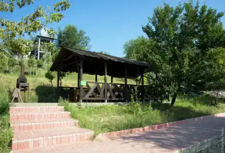 Подсолнух - 24