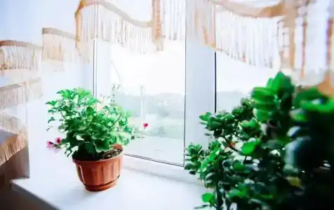 Кунеш - 1