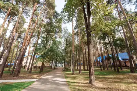 Волга - 3