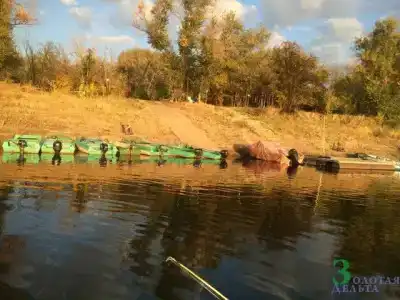 Золотая Дельта - 10