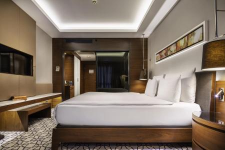 Royal Stay Palace - 18