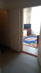 Сомон - 6