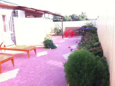 Леля - 10