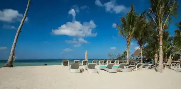 Fruit & Spice Wellness Zanzibar - 23
