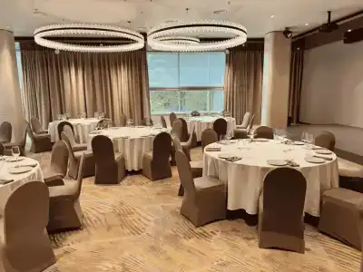Репино Парк - 24