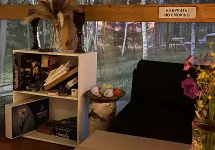 Звездный лес - 20