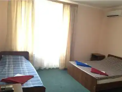 Виолетта - 18