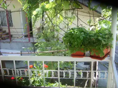 Дом на набережной - 6