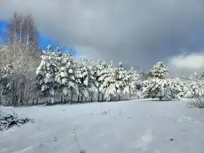 Уницы на Селигере - 76