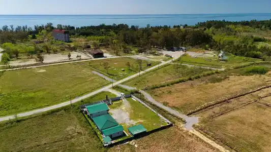 АСАС - 19