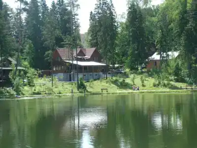 Царский лес - 17