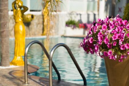 Paradice Luxury Suites - 28