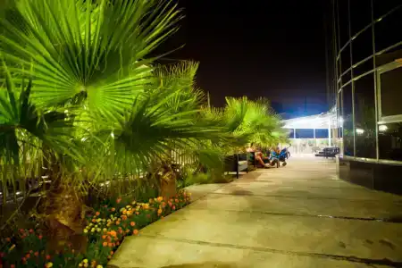 Encino - 2