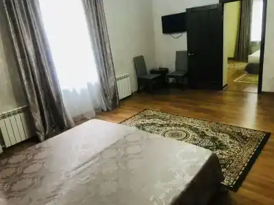 Sultan Beibarys - 17