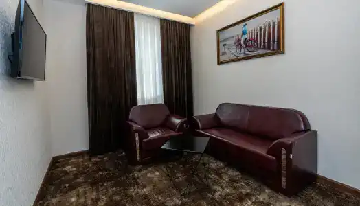 Garnet Mir - 87