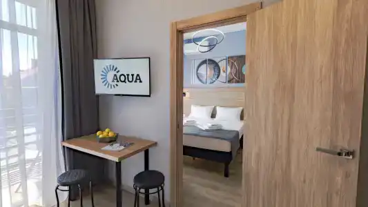 Aqua - 33