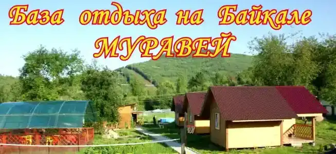 Муравей - 0
