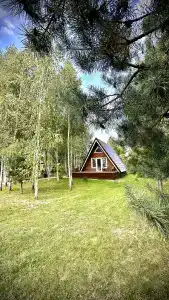 Три лисы - 41