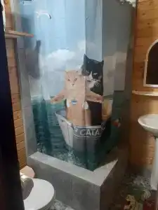 Пальма - 11