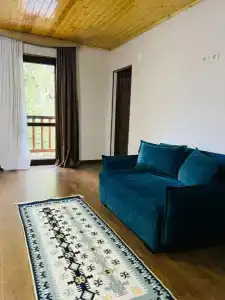 Shgedi Mestia - 45