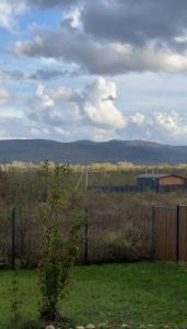 Sova House - 1