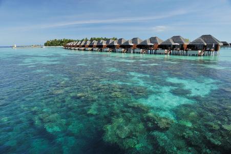Ayada Maldives - 7