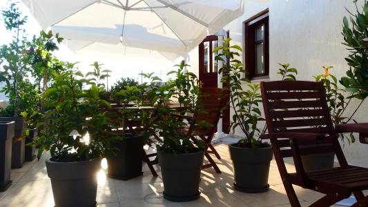 Theasis Athens - 80