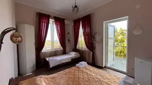 Агава - 2