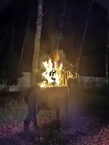 На природе - 18