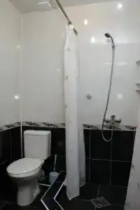Аист - 56